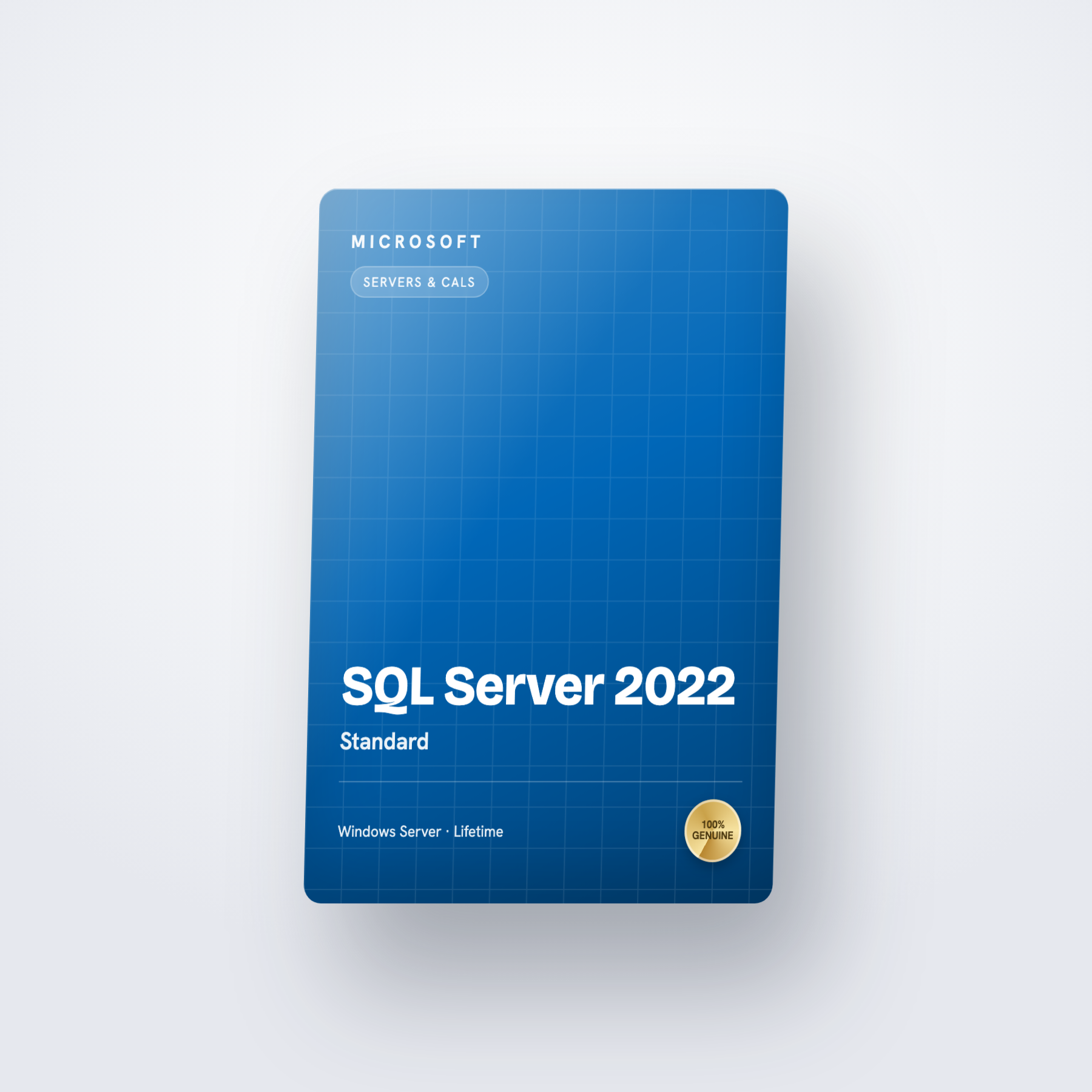 SQL Server 2022 Standard