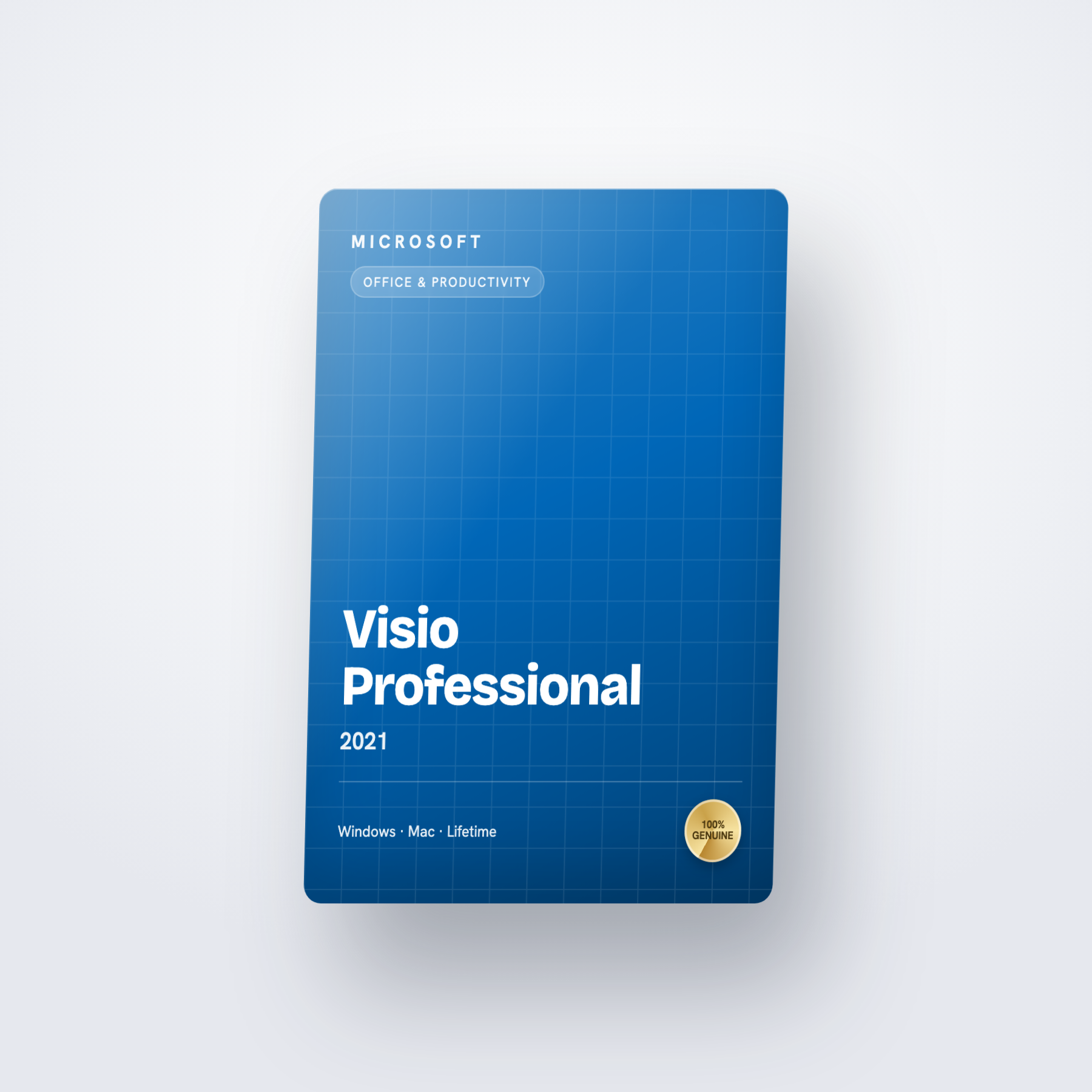 Visio Professional 2021