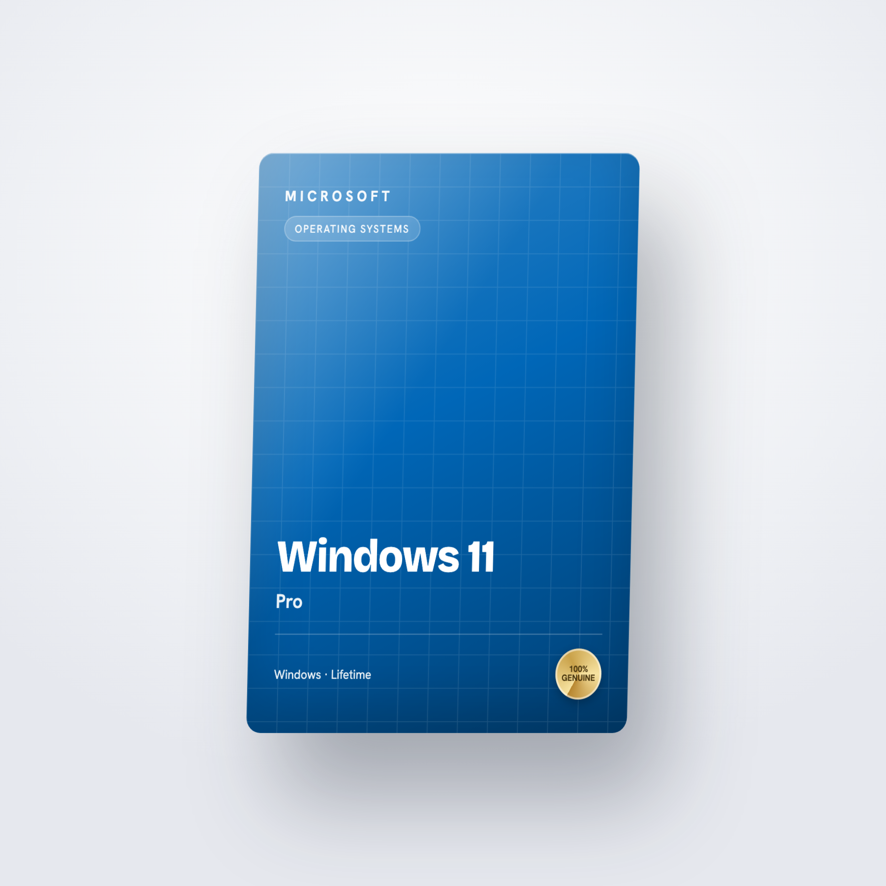 Windows 11 Pro